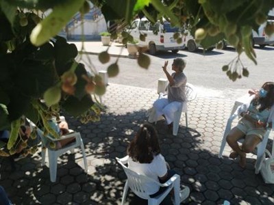 Galeria de Imagens