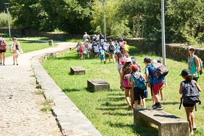 Galeria de Imagens