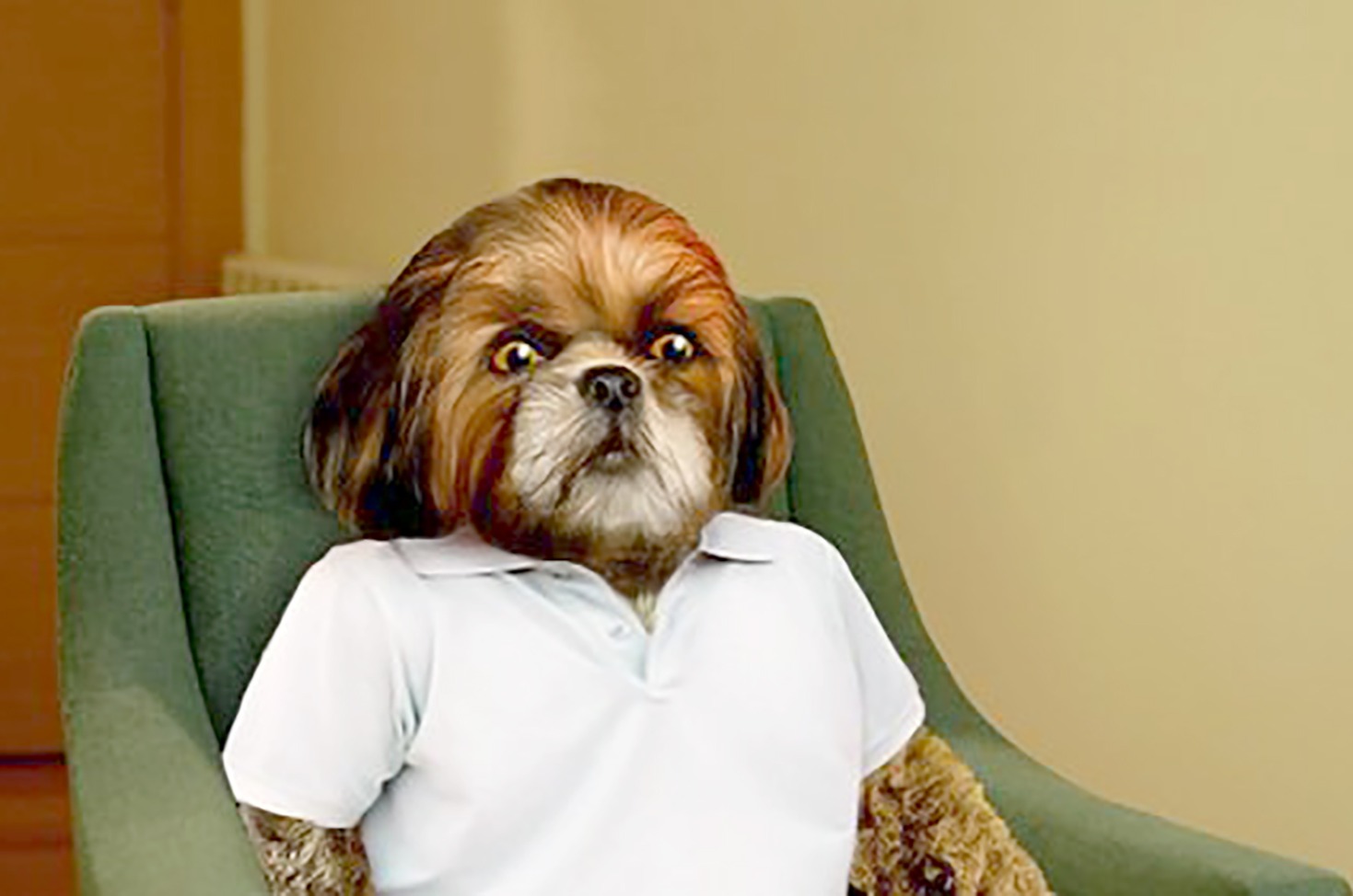 João Moreira e Pedro Santo (Bruno Aleixo)