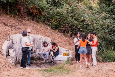 Galeria de Imagens