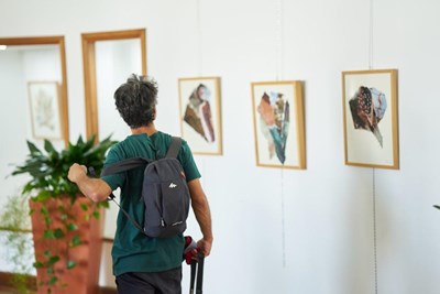 Galeria de Imagens