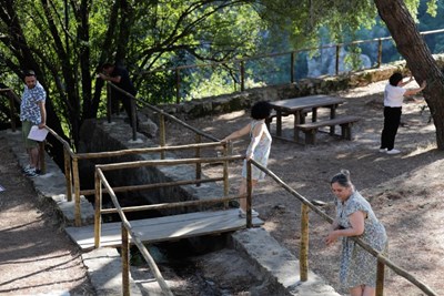 Galeria de Imagens