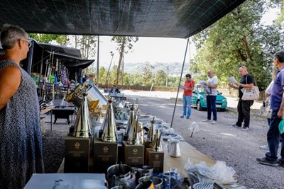 Galeria de Imagens
