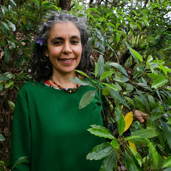 Diana V. Almeida