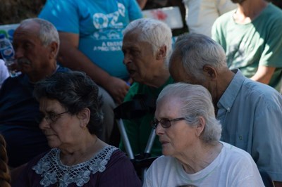 Galeria de Imagens