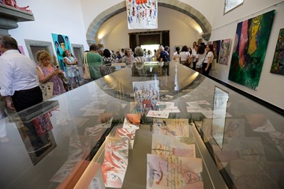 Galeria de Imagens