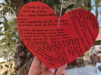 Galeria de Imagens